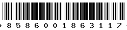 8586001863117