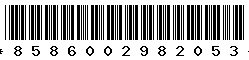 8586002982053