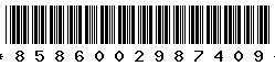 8586002987409