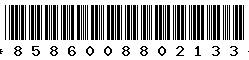 8586008802133