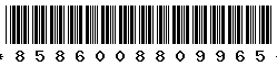 8586008809965 8586008809965