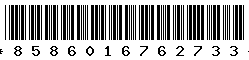 8586016762733 8586016762733