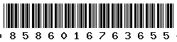 8586016763655
