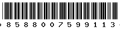 8588007599113