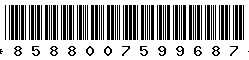 8588007599687 8588007599687
