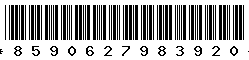 8590627983920