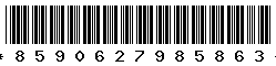 8590627985863 8590627985863