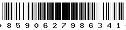8590627986341