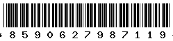8590627987119 8590627987119