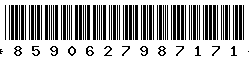 8590627987171 8590627987171