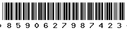 8590627987423