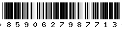 8590627987713 8590627987713