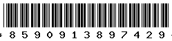 8590913897429 8590913897429