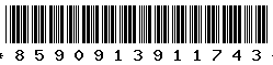 8590913911743