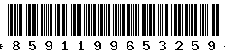 8591199653259