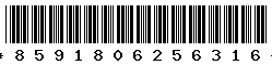 8591806256316