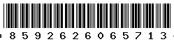 8592626065713