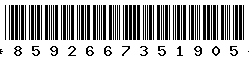 8592667351905
