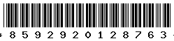 8592920128763 8592920128763