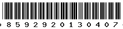 8592920130407