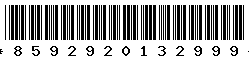 8592920132999