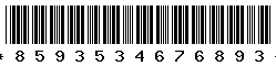 8593534676893 8593534676893