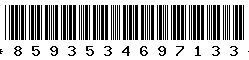 8593534697133 8593534697133