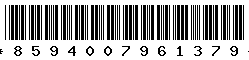 8594007961379