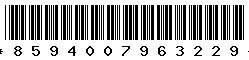 8594007963229