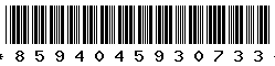 8594045930733