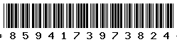 8594173973824