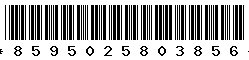 8595025803856