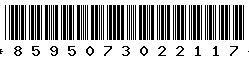 8595073022117