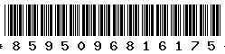 8595096816175