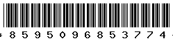8595096853774 8595096853774