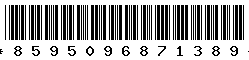 8595096871389 8595096871389