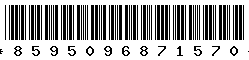 8595096871570