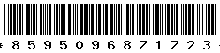 8595096871723