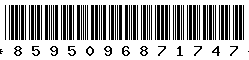 8595096871747 8595096871747