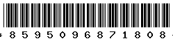 8595096871808 8595096871808