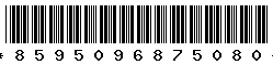 8595096875080 8595096875080