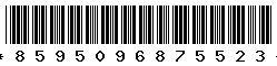 8595096875523 8595096875523