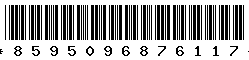 8595096876117 8595096876117