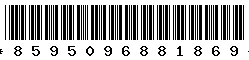 8595096881869