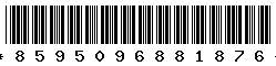 8595096881876