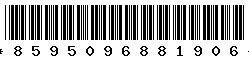 8595096881906