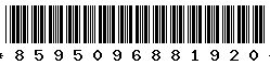 8595096881920 8595096881920