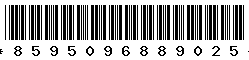 8595096889025 8595096889025
