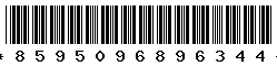 8595096896344 8595096896344