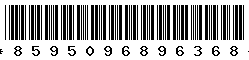 8595096896368 8595096896368